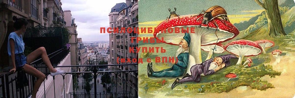 бутират Алексеевка