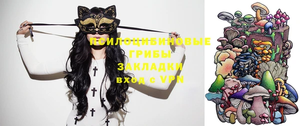 не бодяженный Алексин