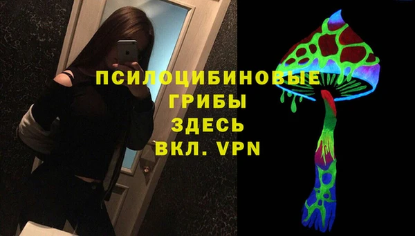 не бодяженный Алексин