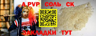 шишки Новодвинск