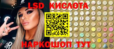 шишки Новодвинск