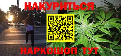 стаф Новозыбков