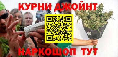 стаф Новозыбков