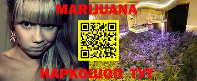 стаф Новозыбков
