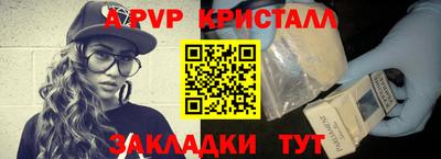 шишки Новодвинск