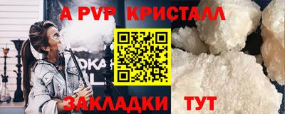 шишки Новодвинск