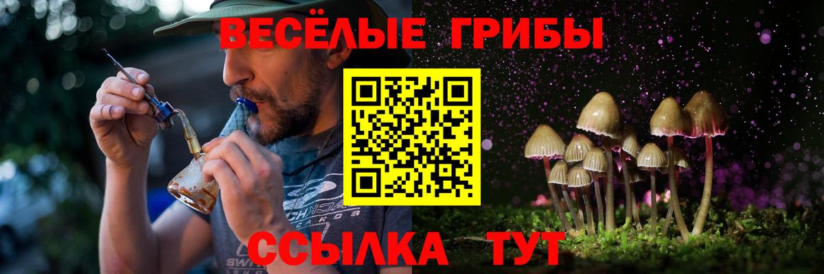 Псилоцибиновые грибы MAGIC MUSHROOMS Тосно
